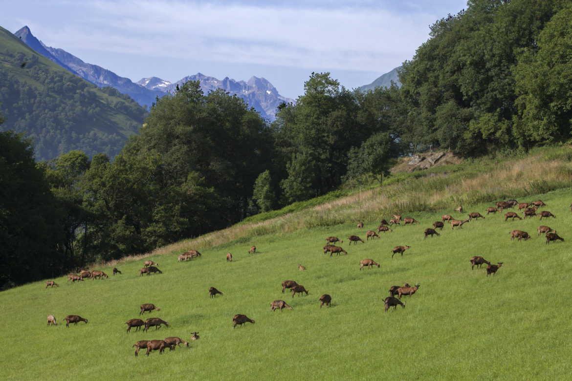 La Ferme des trois corneilles